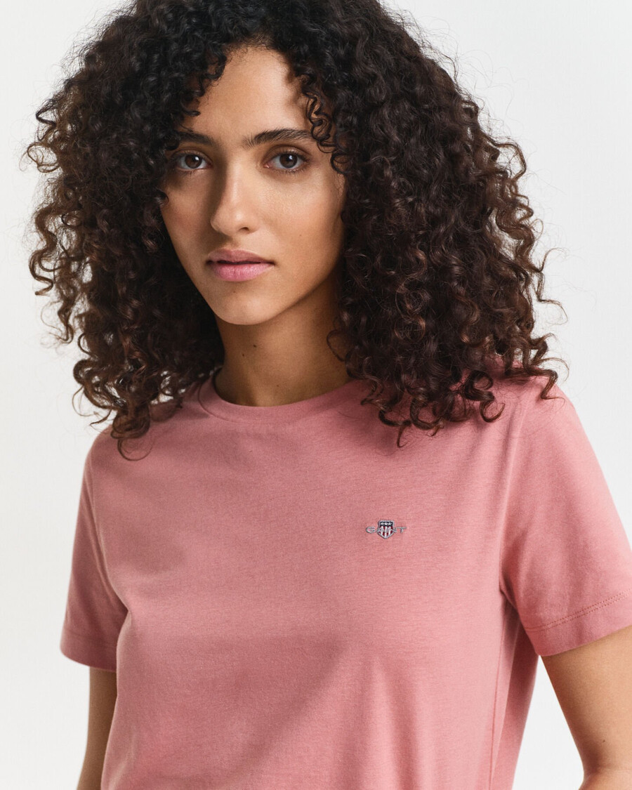 shield tshirt - faded brick